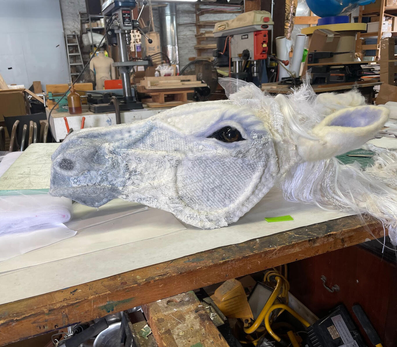 "Water for Elephants" Silverstar